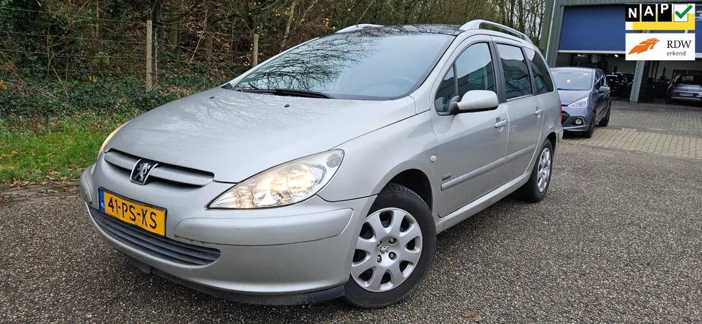 Peugeot 307 SW 1.6 109PK Climate Cruise Panorama Trekhaak NAP